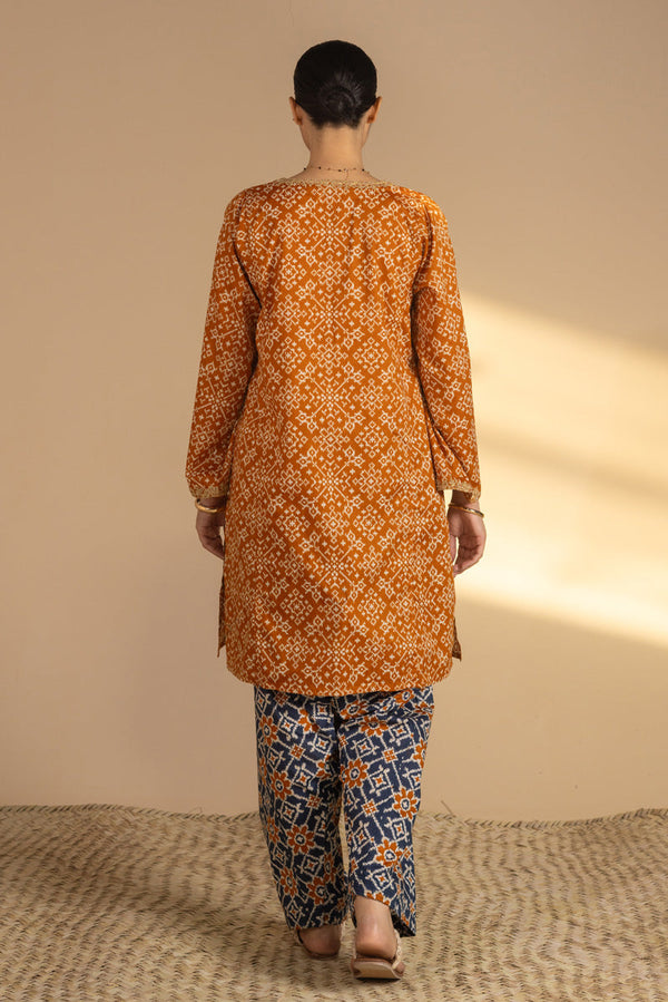Printed Patola Tales Set