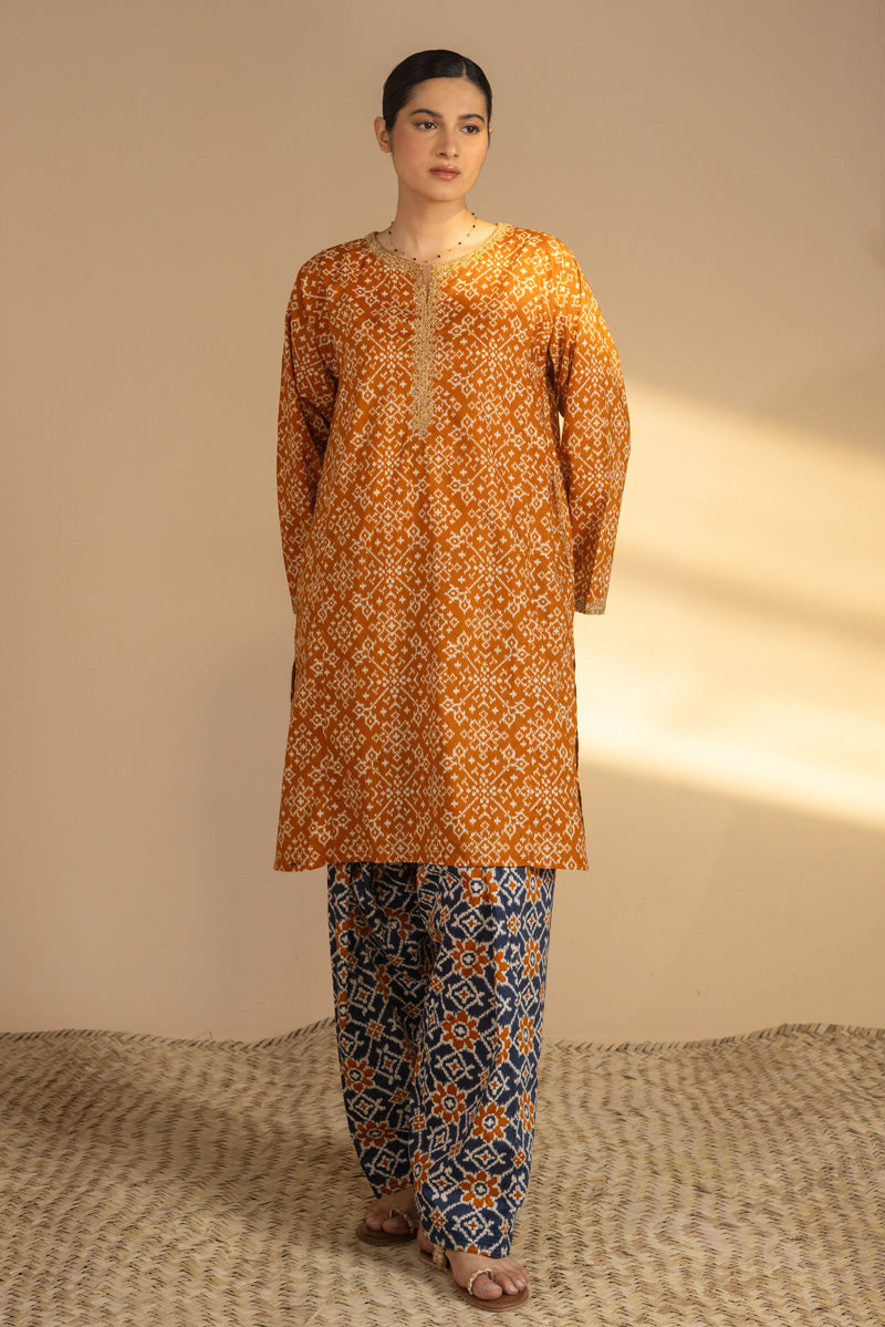 Printed Patola Tales Set