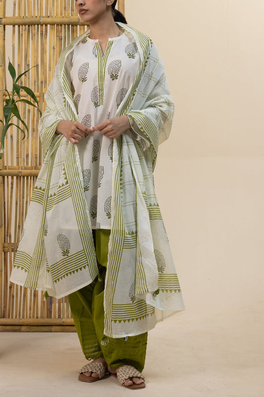 Regal Paisley Printed Dupatta