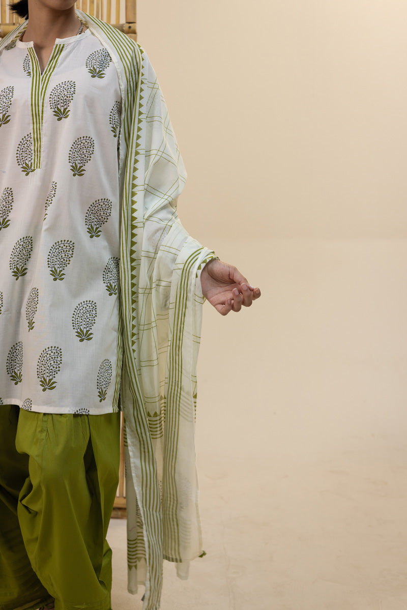 Regal Paisley Printed Dupatta