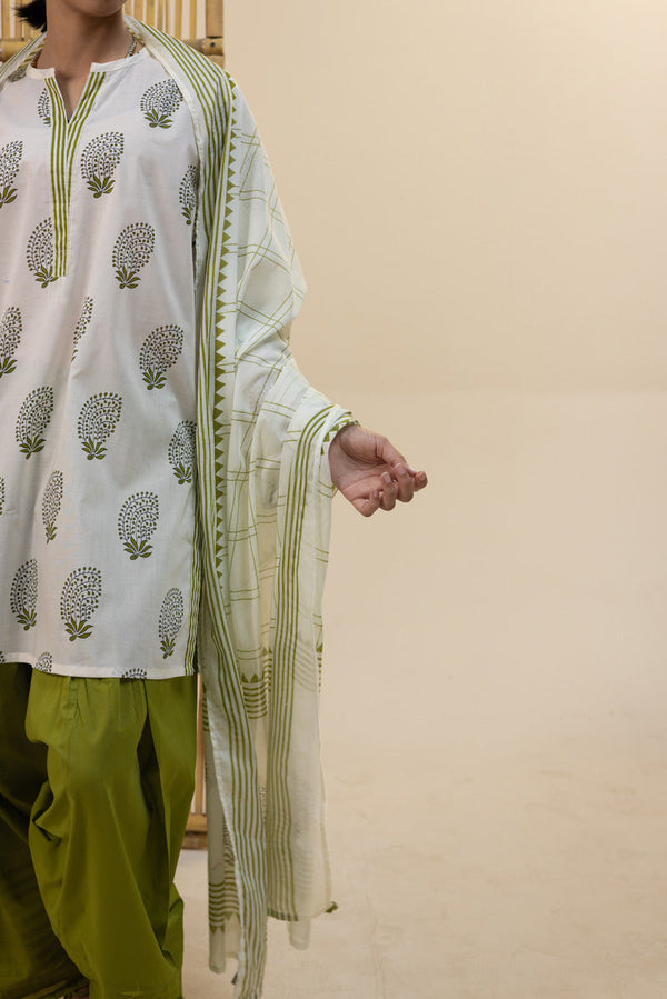 Regal Paisley Printed Dupatta