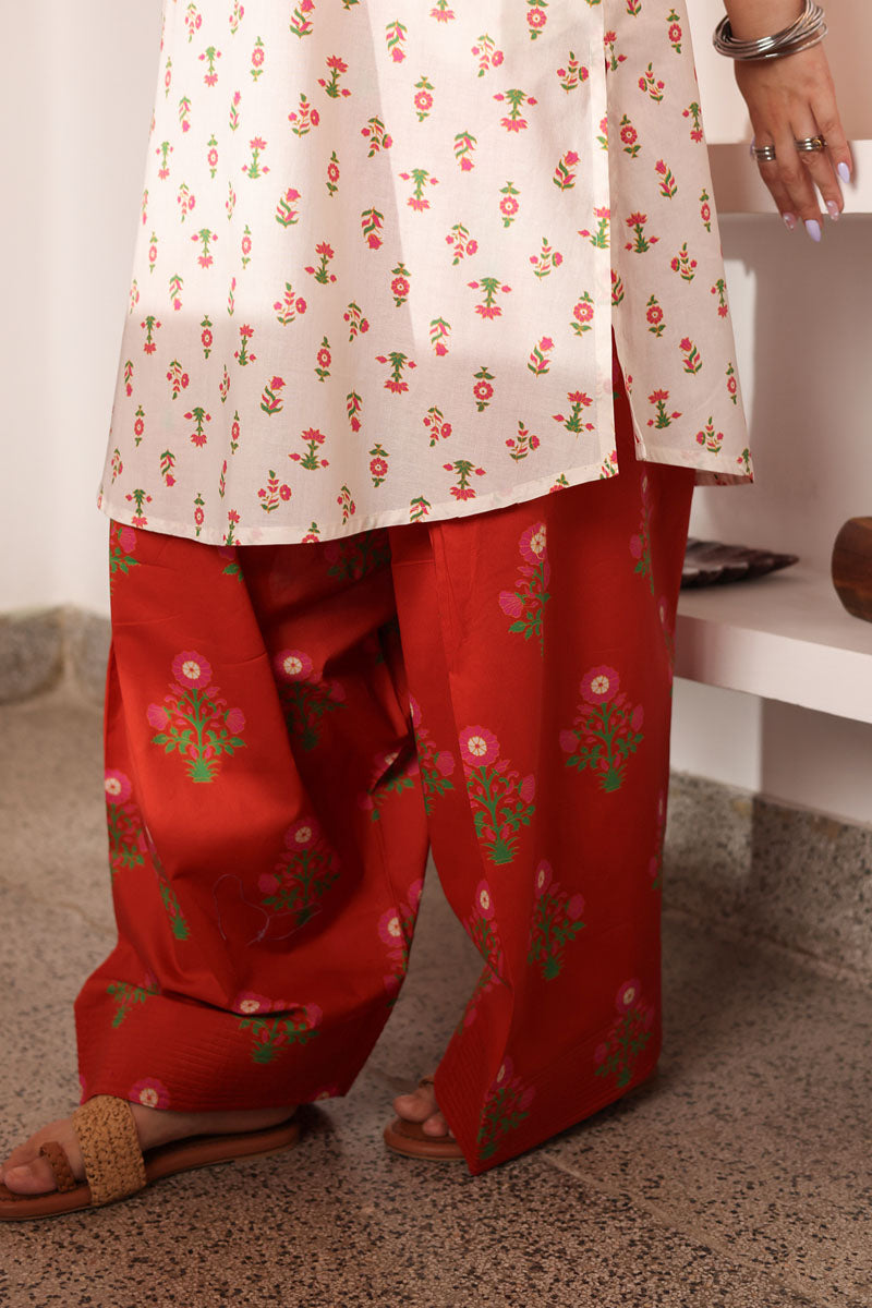 Printed Shabnam Farshi Set