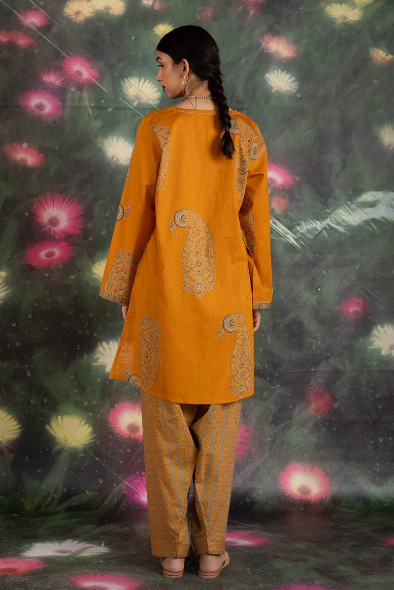 Printed Chaman Duo-Set