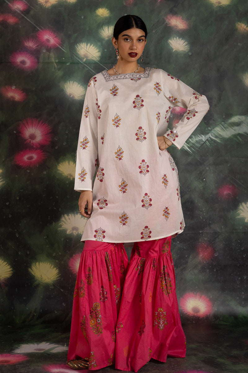aatishigulabi