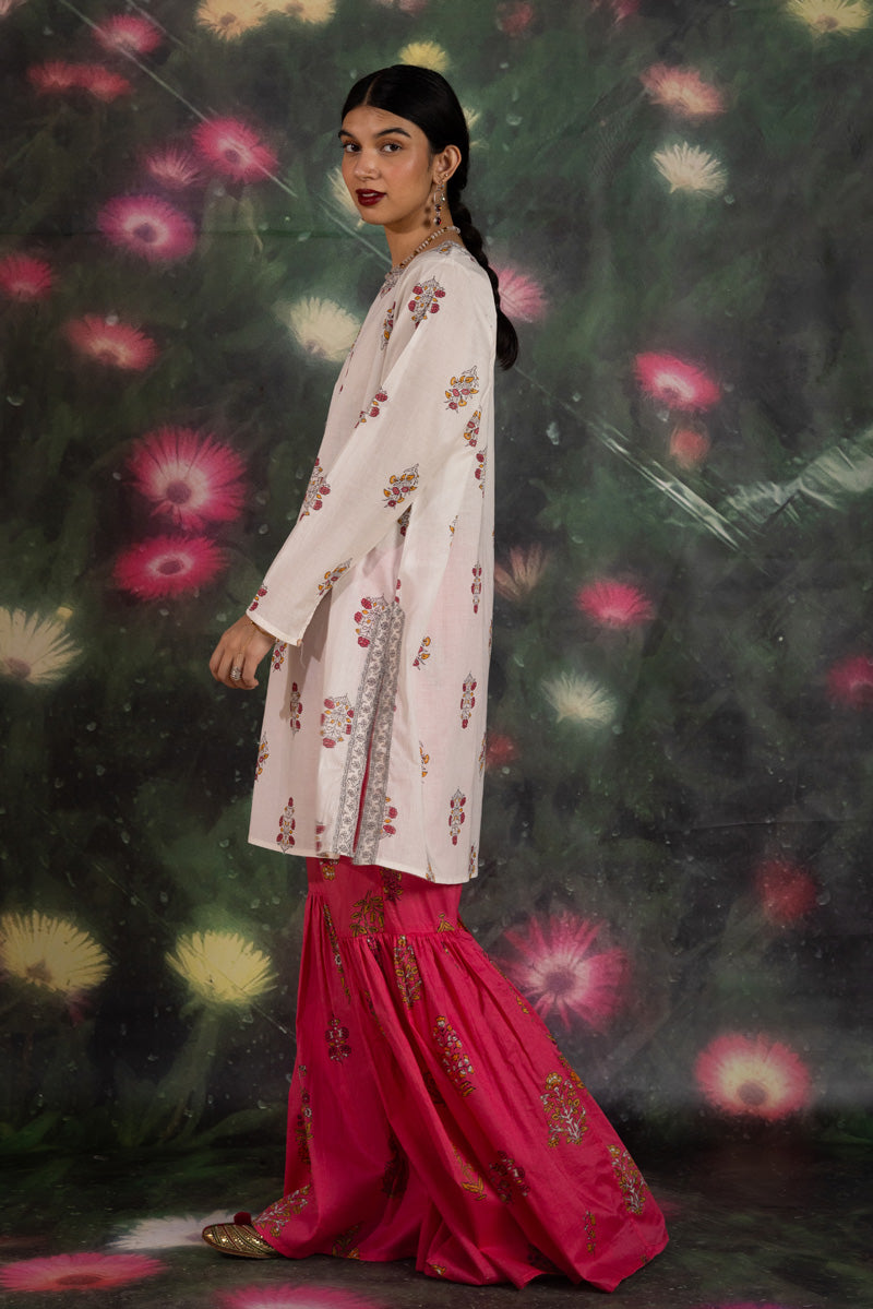 aatishigulabi