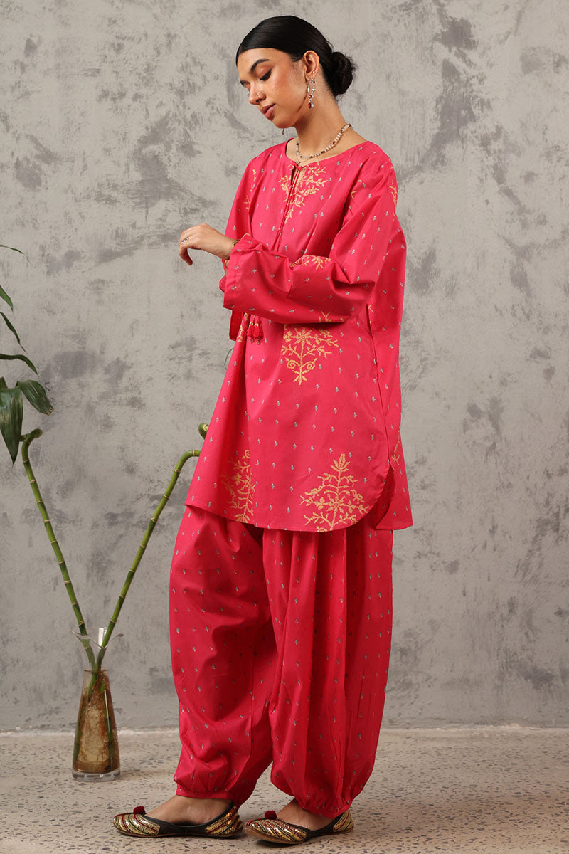 aatishigulabi