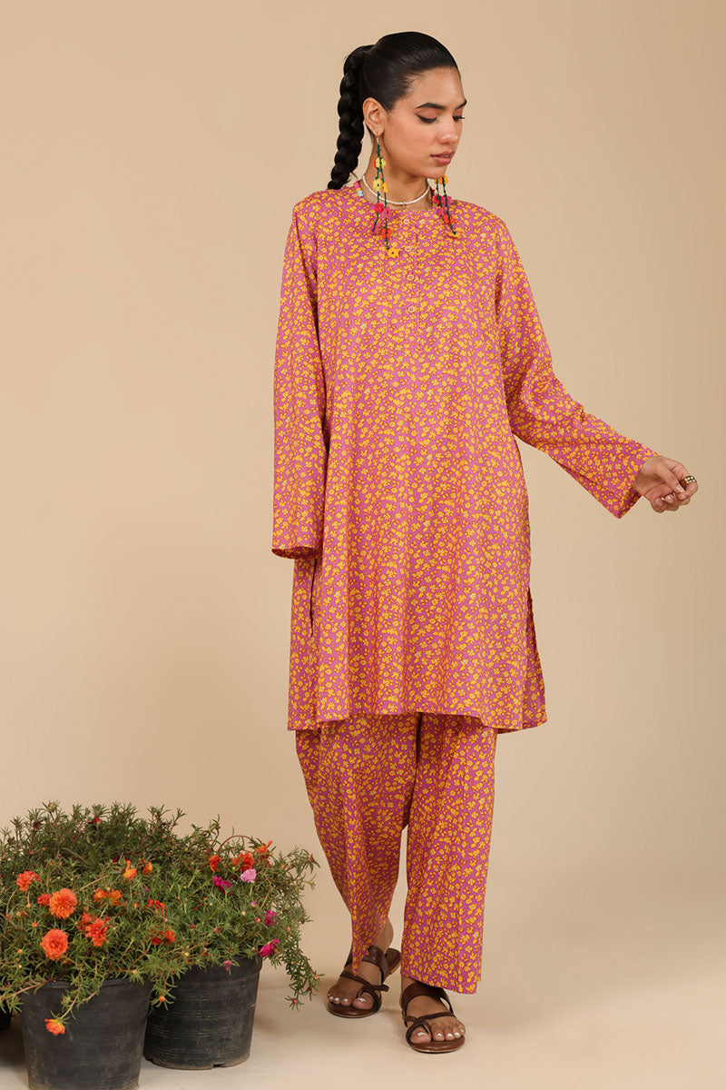 Phulkari Muse Co-Ord Set