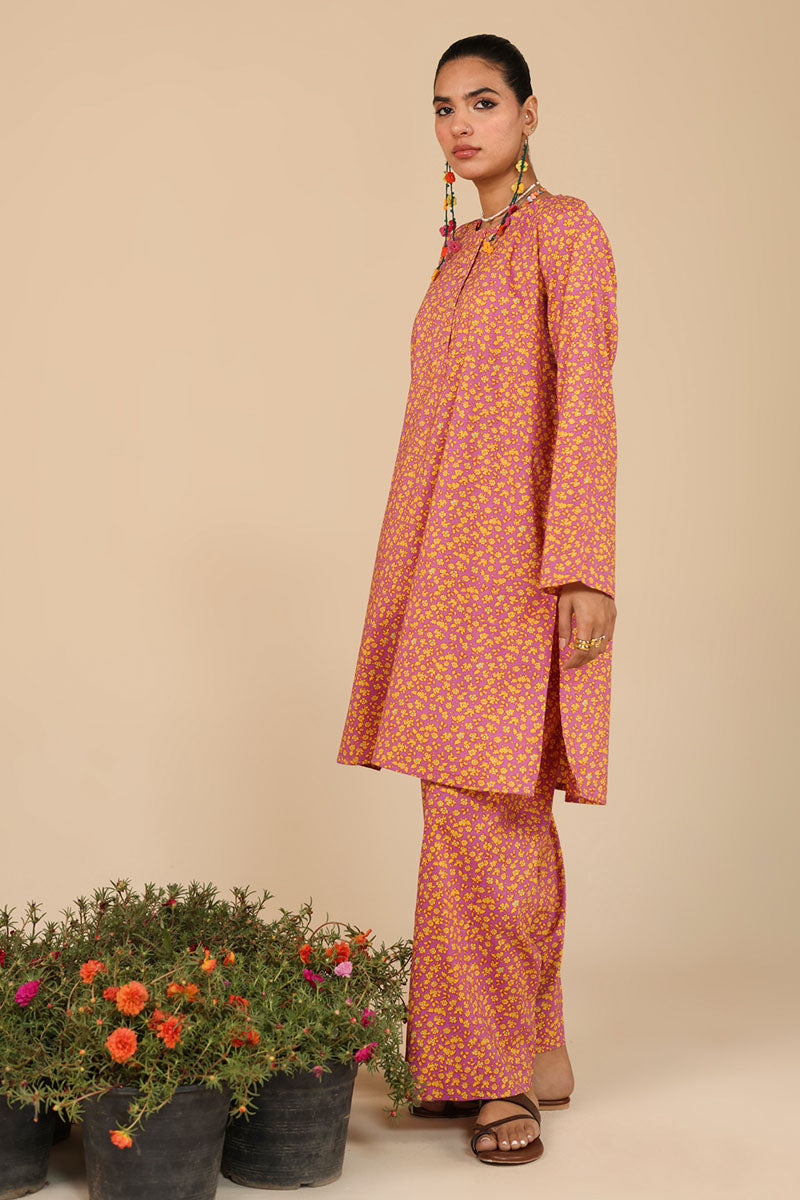 Phulkari Muse Co-Ord Set