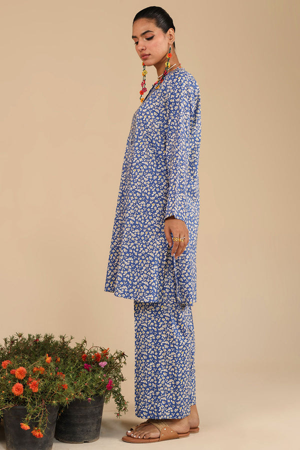 Phulkari Muse Co-Ord Set
