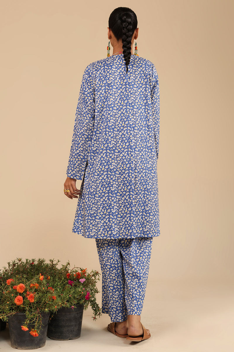 Phulkari Muse Co-Ord Set