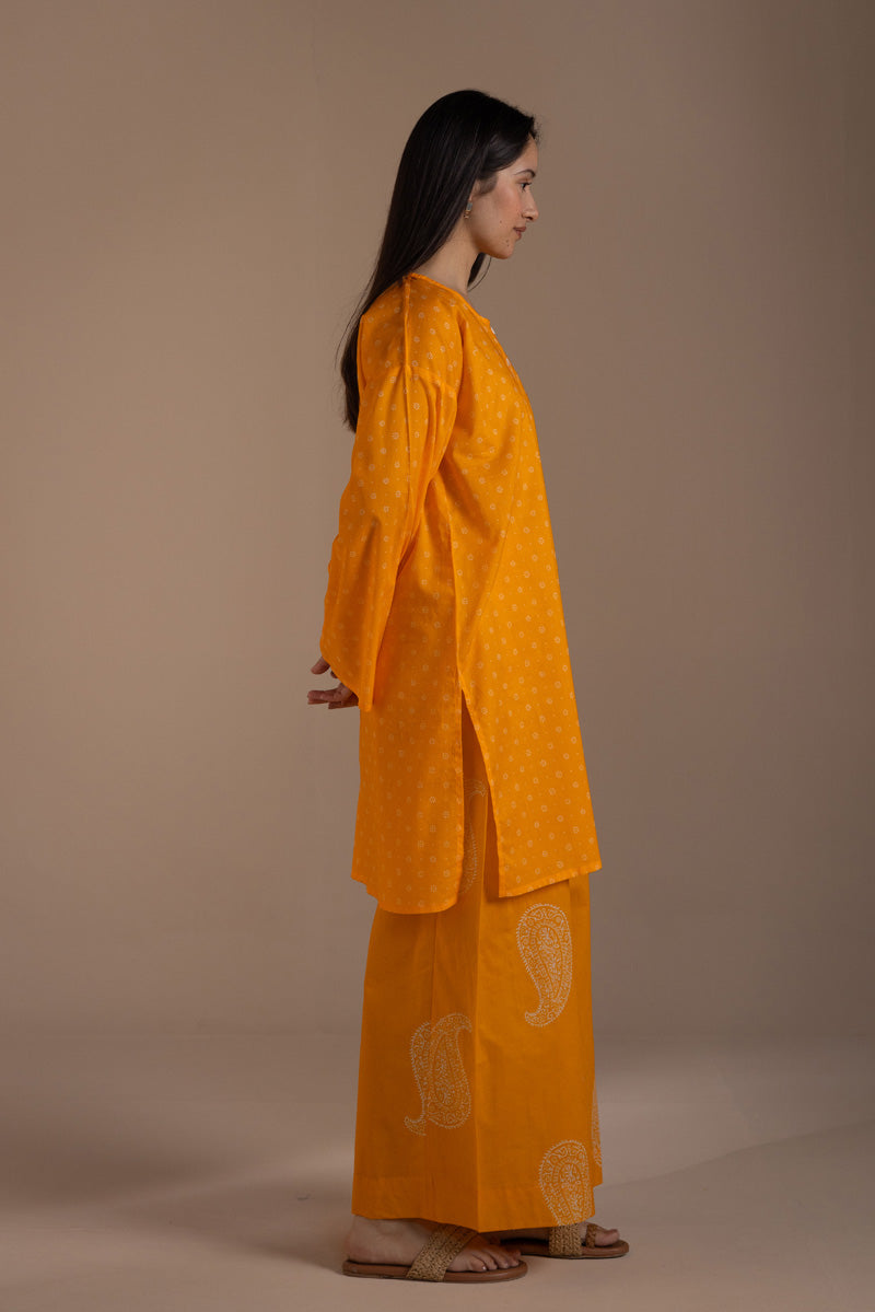 Sunlit Bloom Set