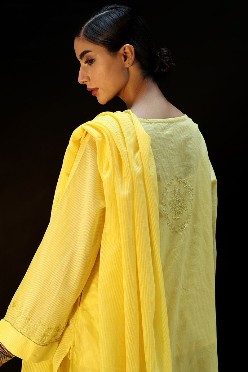 dafodil