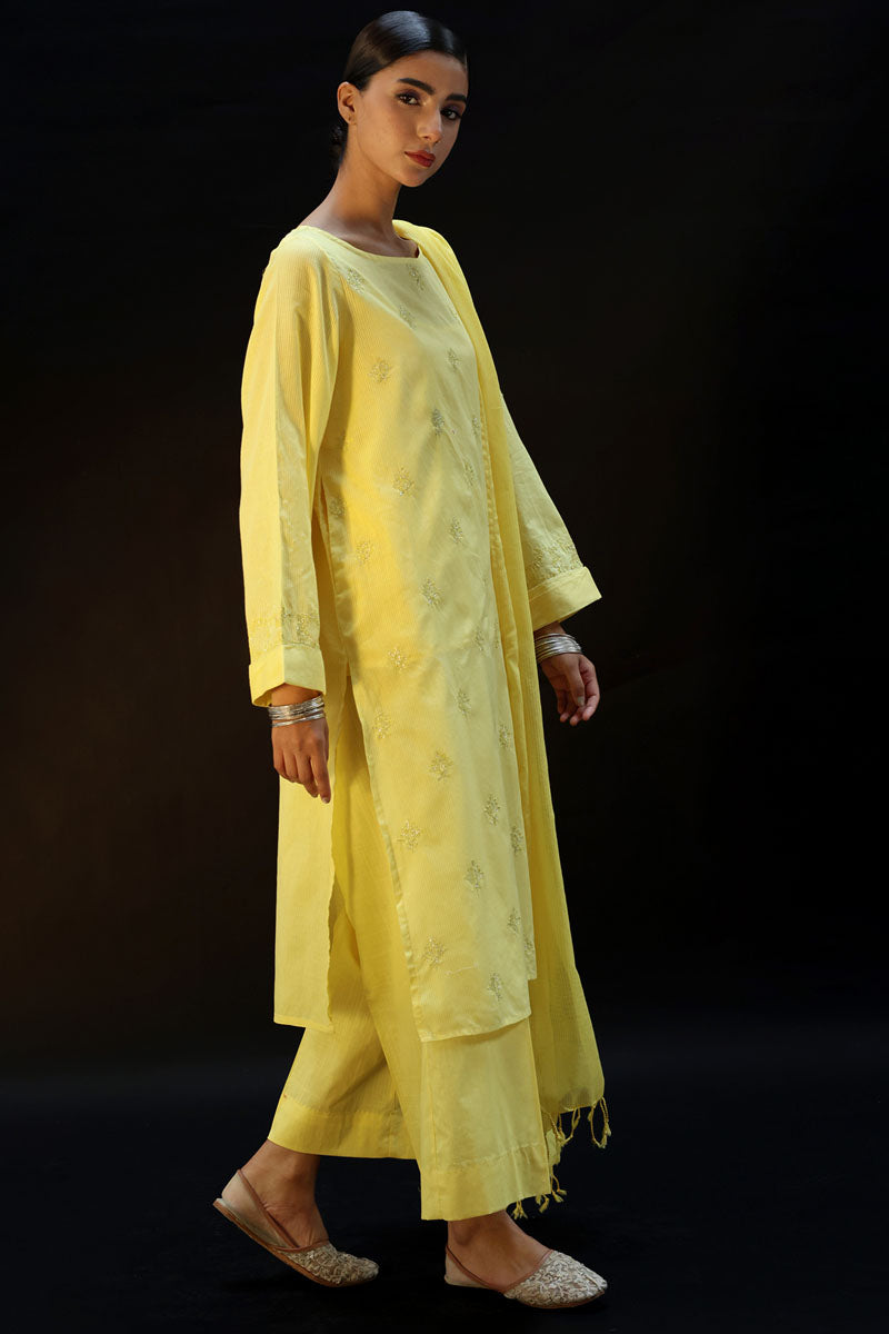 dafodil