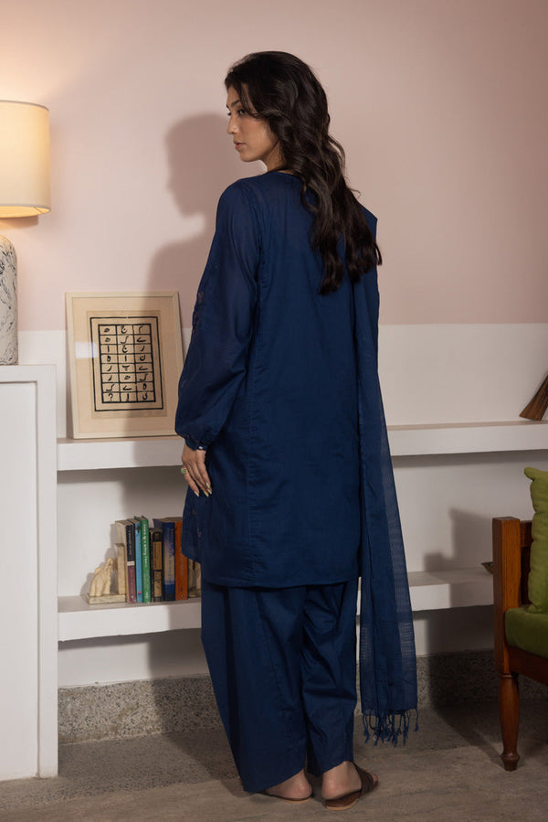 Ethereal Embroidered Ensemble