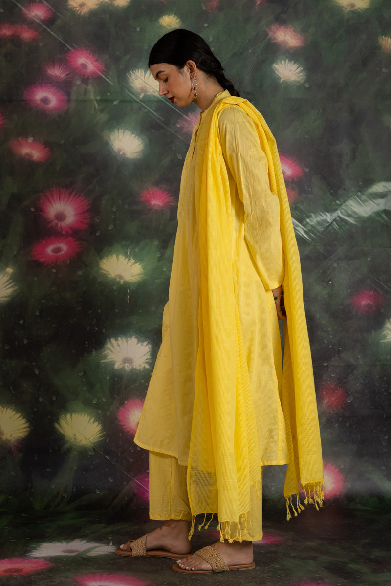 dafodilyellow
