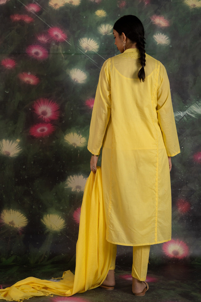 dafodilyellow