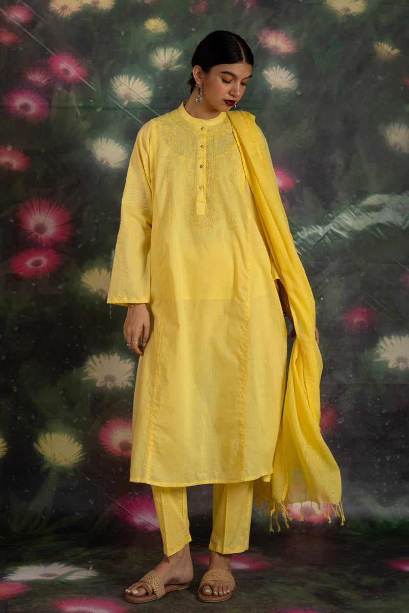 dafodilyellow