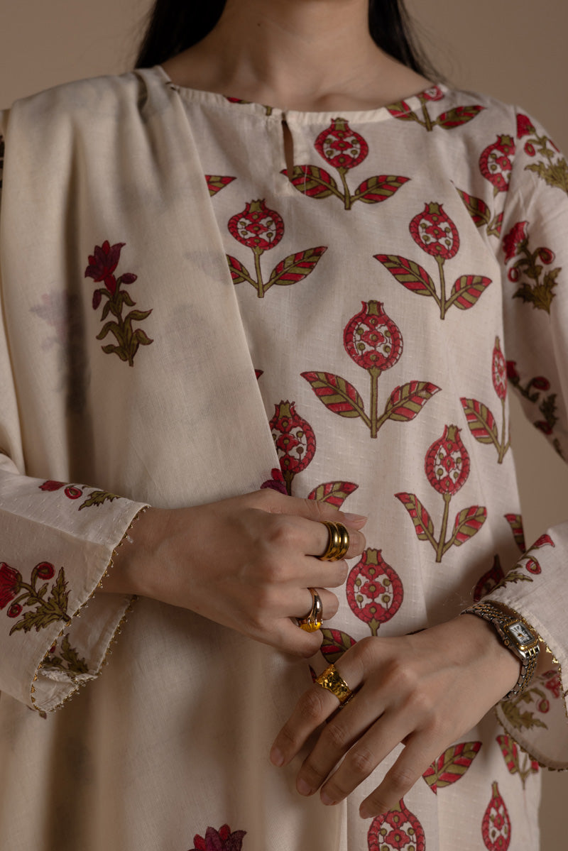 Gulbahar Block Printed 3-Piece Suit