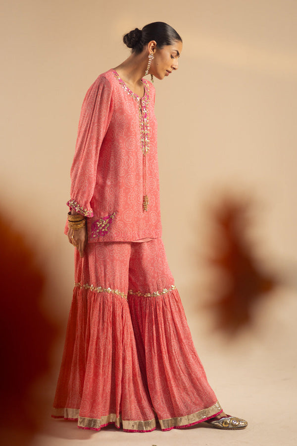 Gota Opulence Gharara Set