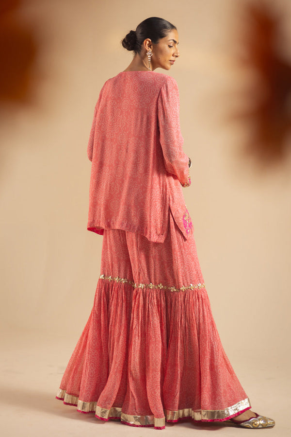 Gota Opulence Gharara Set