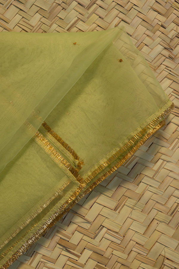 Shimmer Nur Dupatta