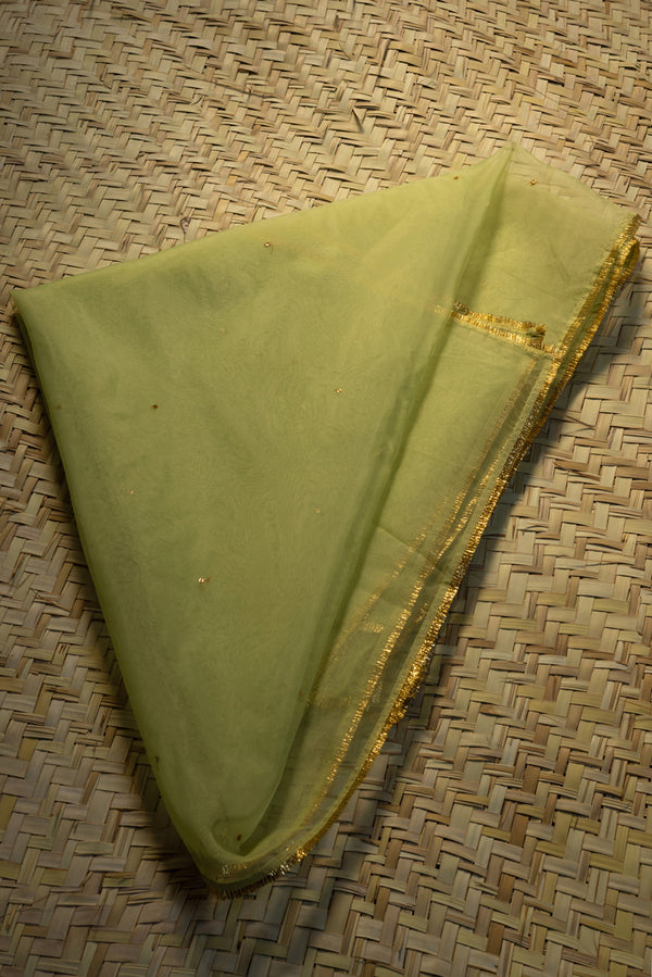 Shimmer Nur Dupatta