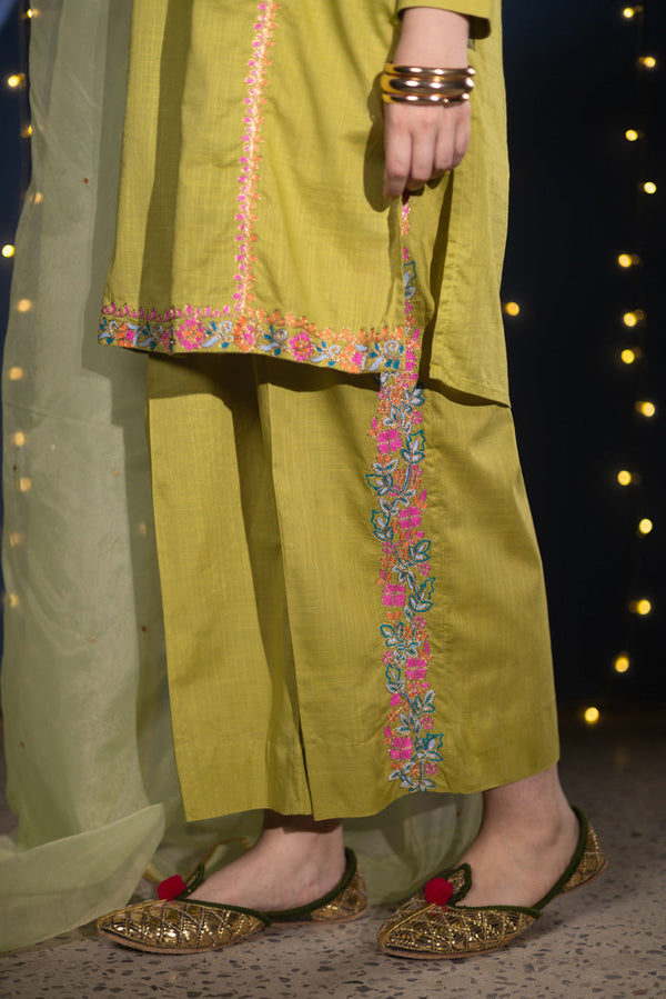 Shimmer Nur Dupatta