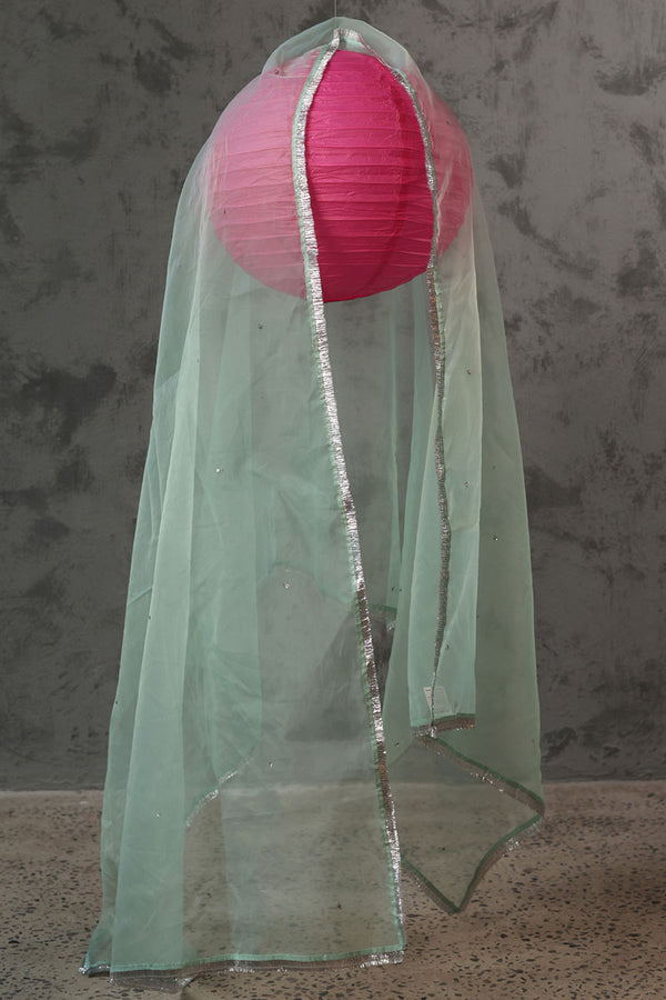 Shimmer Nur Dupatta