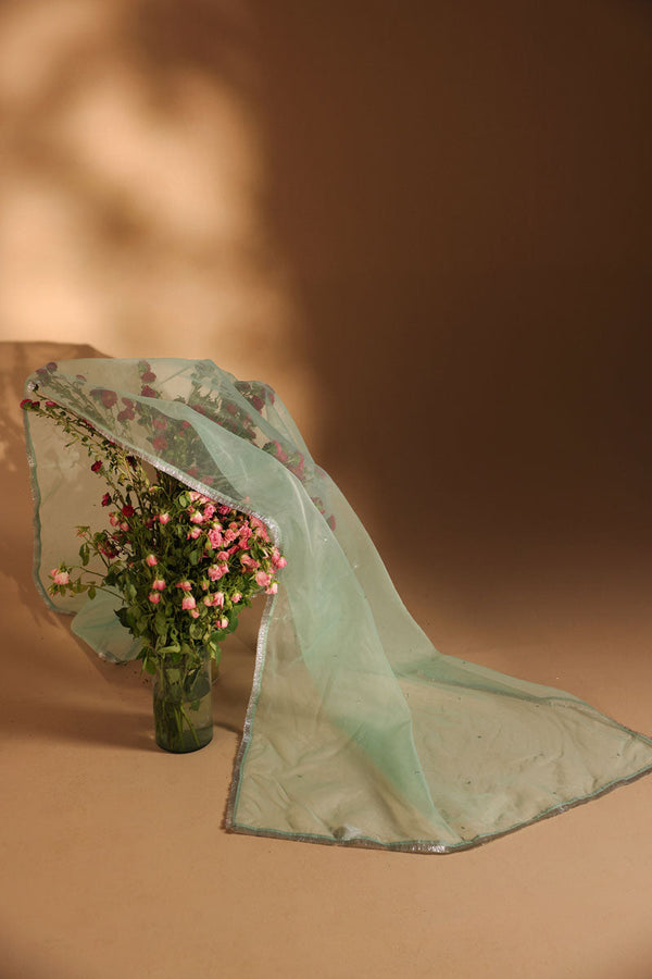Shimmer Nur Dupatta