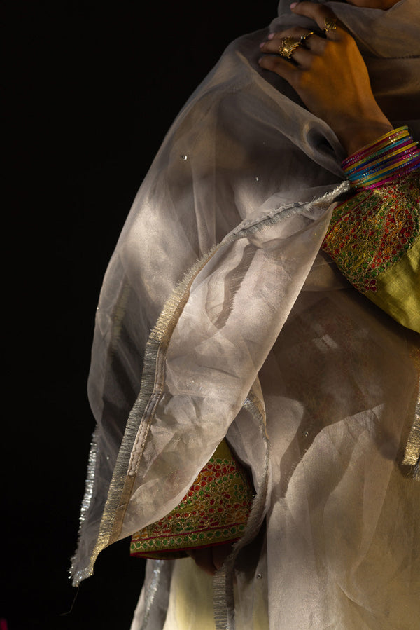 Shimmer Nur Dupatta
