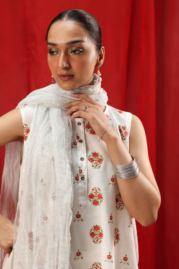 Soft Crinkle Dupatta
