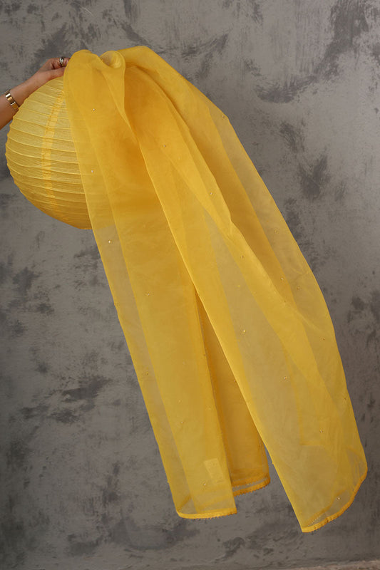 Gota Nur Dupatta