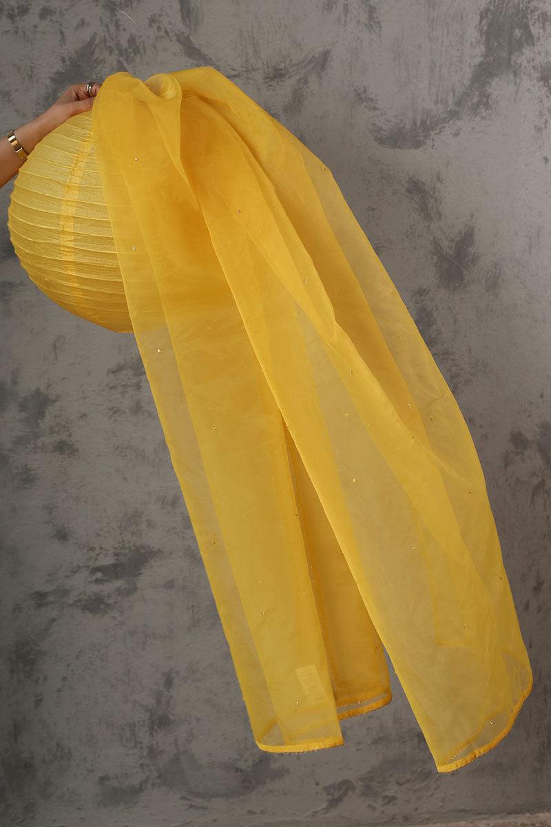 Gota Nur Dupatta