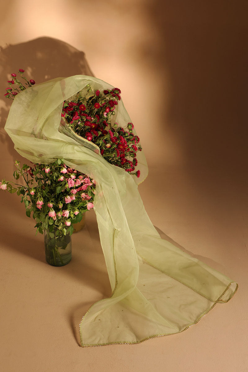 Gota Nur Dupatta