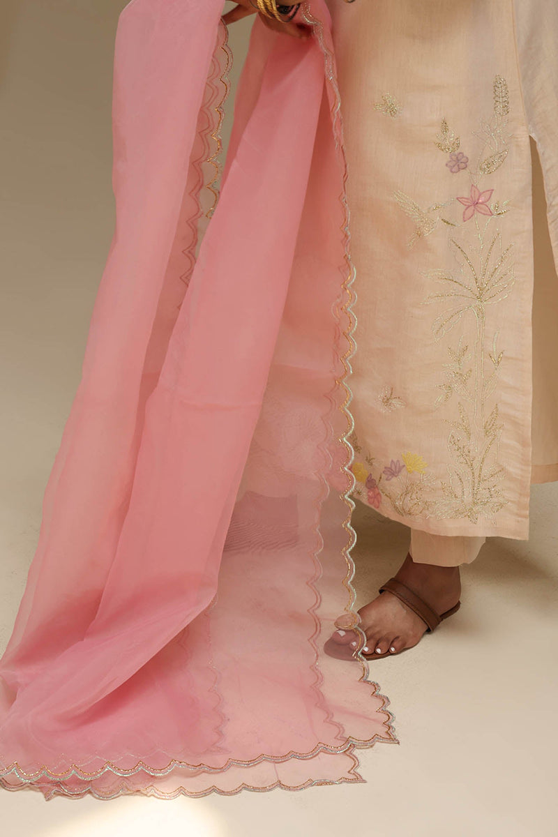 Embroidered Opulence  3-Piece Ensemble