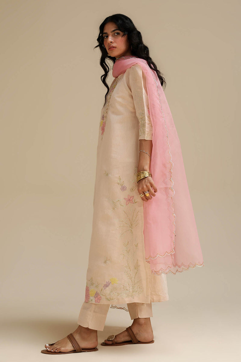 Embroidered Opulence  3-Piece Ensemble