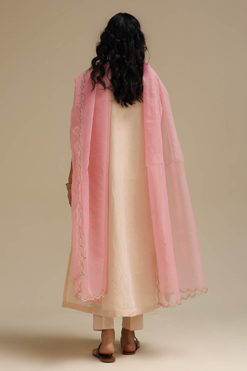 Embroidered Opulence  3-Piece Ensemble