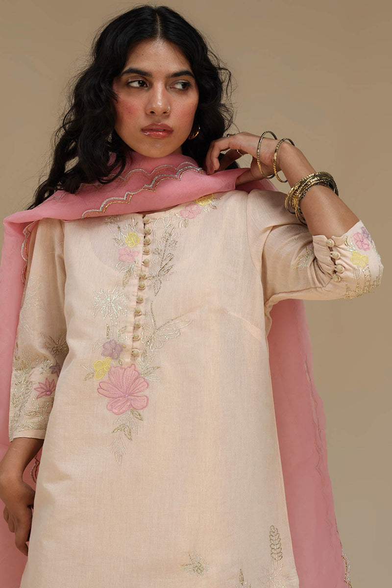 Embroidered Opulence  3-Piece Ensemble