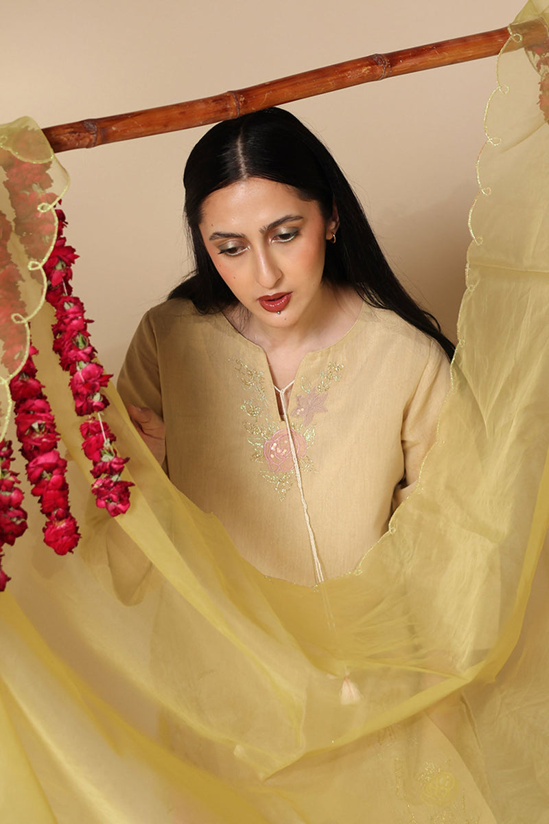 Gulnar Embroidered Gharara Ensemble