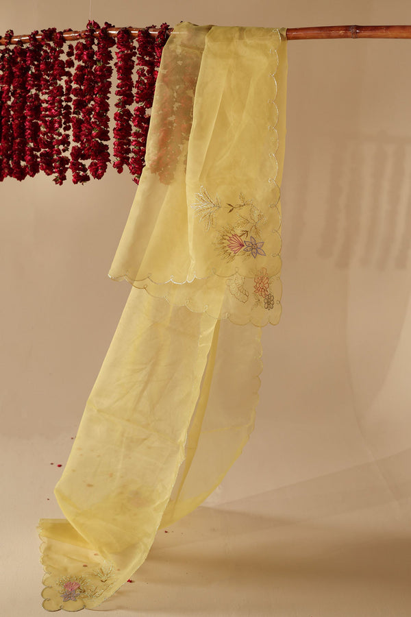 Gulnar Embroidered Gharara Ensemble