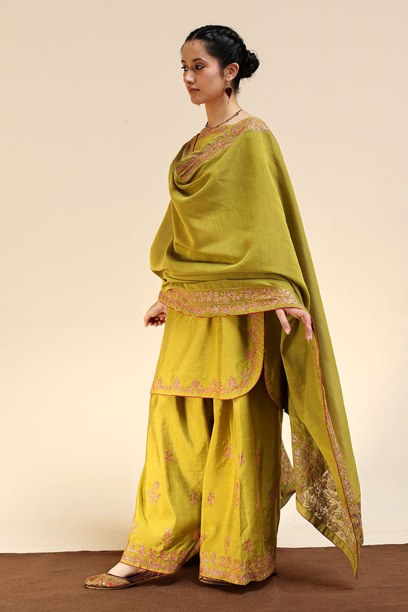 Embroidered Farshi Ensemble
