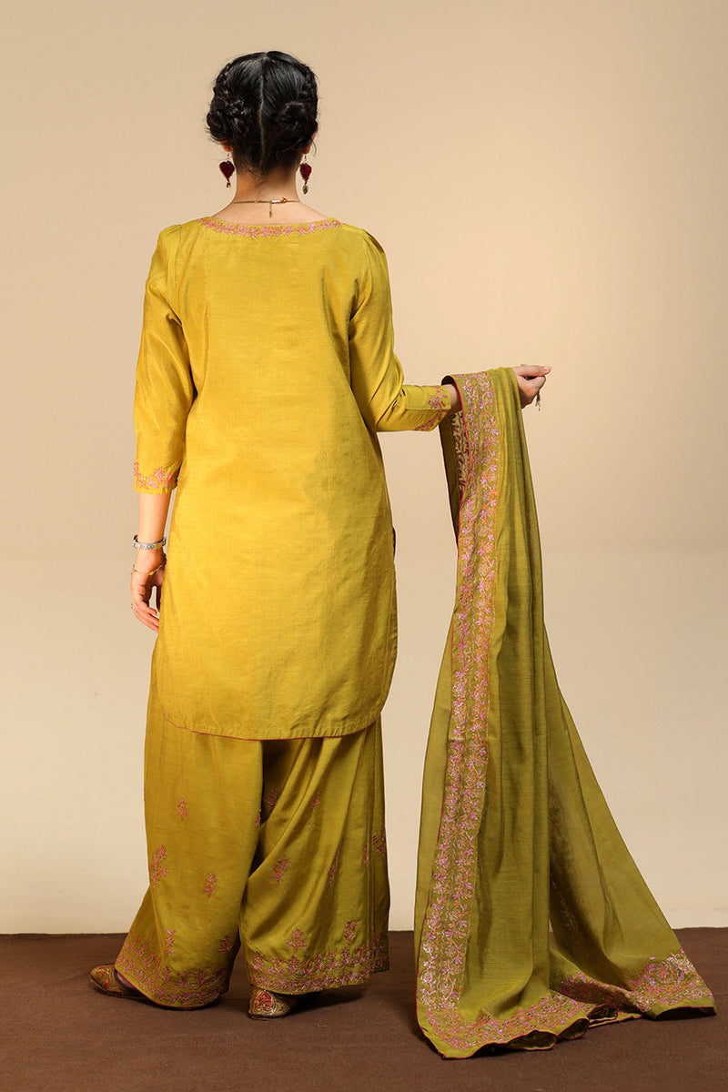 Embroidered Farshi Ensemble