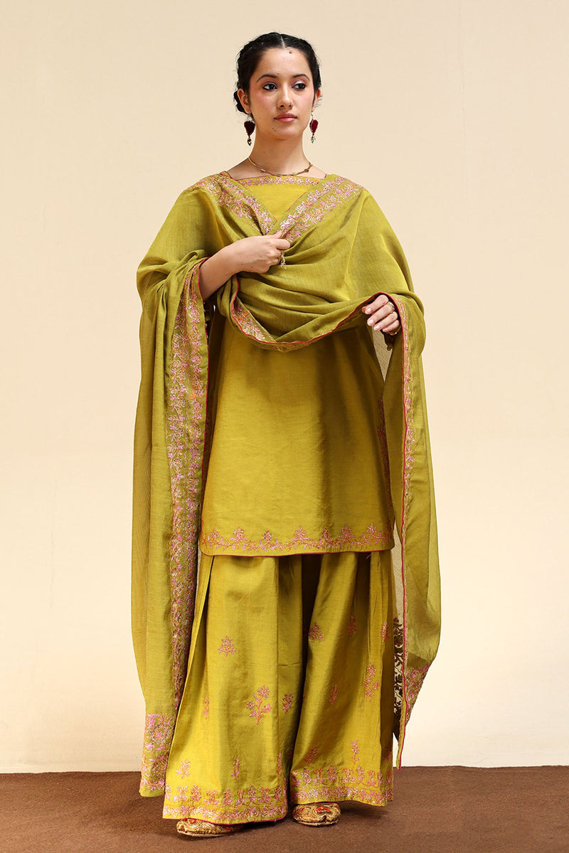 Embroidered Farshi Ensemble