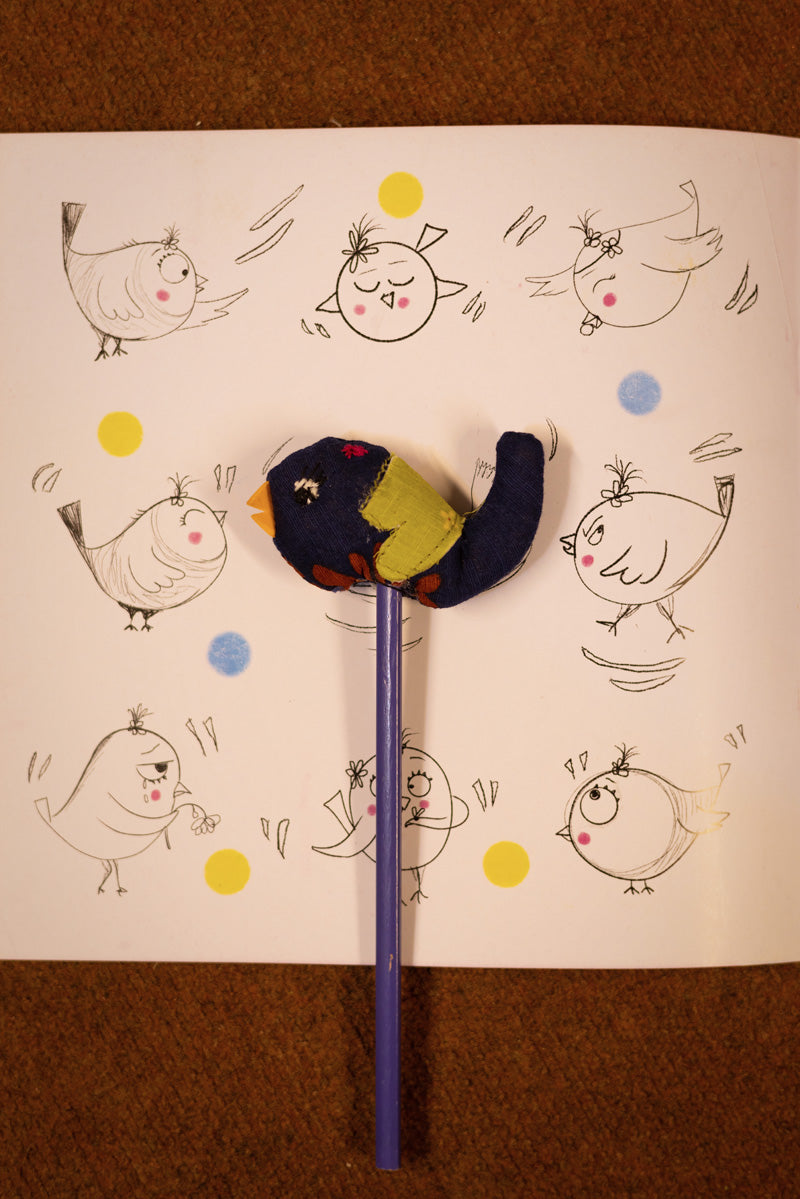 Chuchu aur Aina Summer Reading Kit