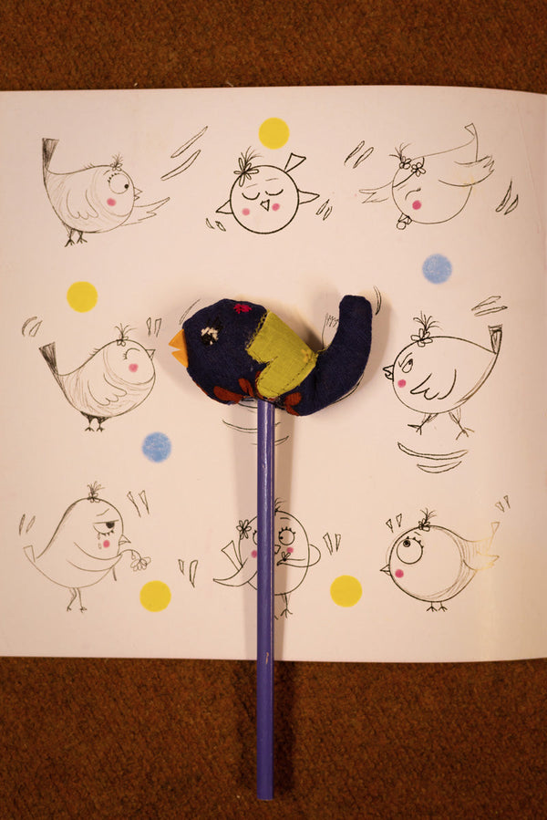 Chuchu aur Aina Summer Reading Kit
