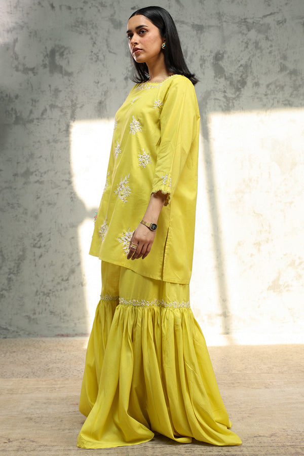 Hand-Detailed Tarkashi Set