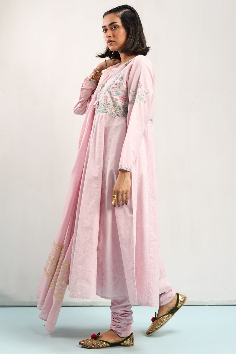 blushpink