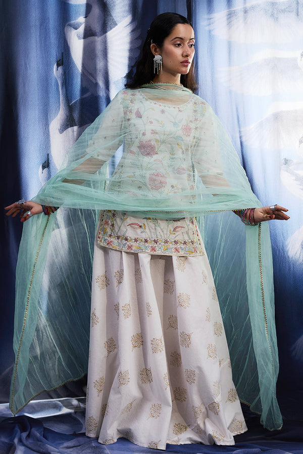 Hand-Crafted Mughal Skirt Set