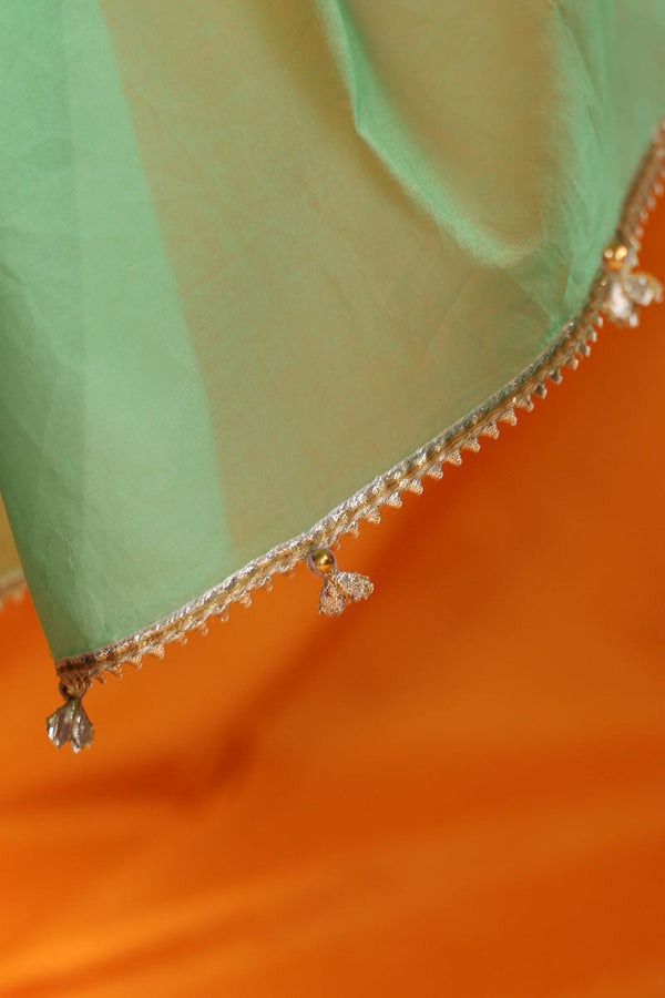 Ganga Jamni Dupatta