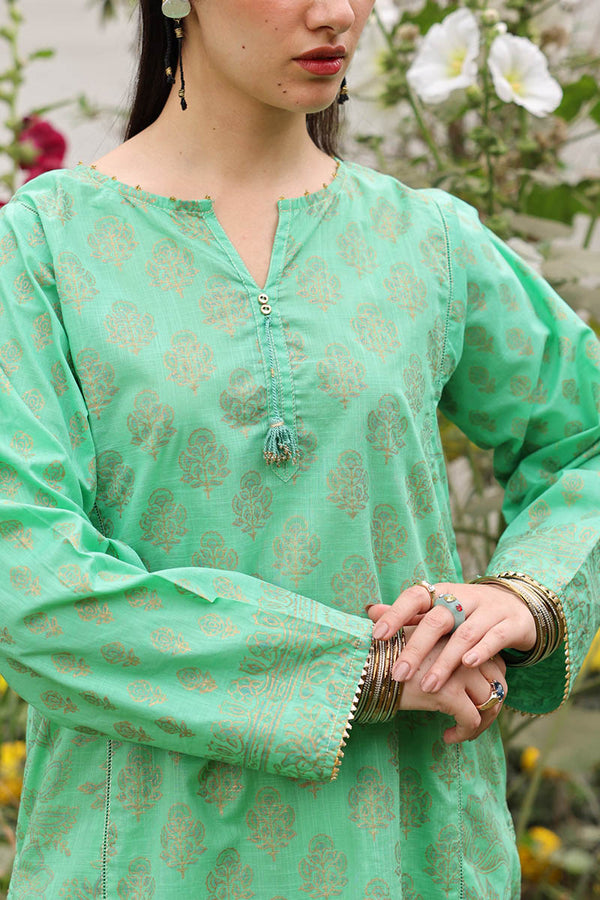 Rang-e-Jamni Farshi Set